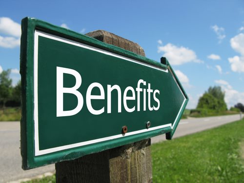 Easy Outline of The Disability Benefits